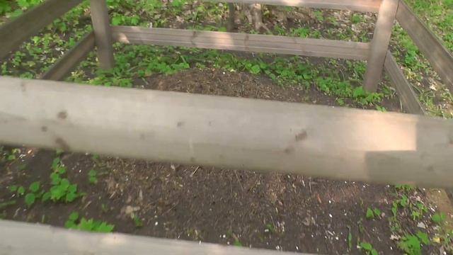 Шипов лес, часть 1! смотреть онлайн