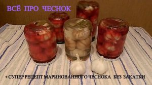 РАК ВИРУСЫ В НОКАУТЕ ВКУСНЫЙ МАРИНОВАННЫЙ ЧЕСНОК РЕЦЕПТ ДОЛГОЛЕТИЯ ПП ЗОЖ ПОЛЬЗА ВРЕД СОСТАВ GARLIC
