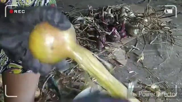 Сушим лук правильно.Подготовка к хранению.Хитрости обработки лука смотреть онлайн