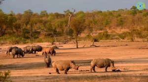 El Cambio Climático para Niños (Videos Educativos para Niños)