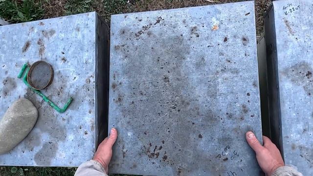 Чем и сколько обрабатывать пчел от клеща…. смотреть онлайн