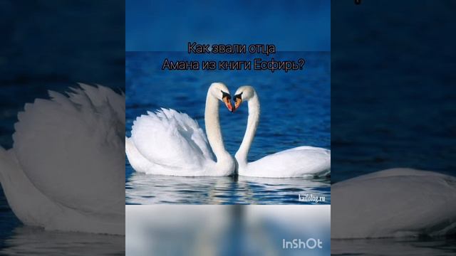 Библейские вопросы 💛 Проверяй свои знания 😉👆