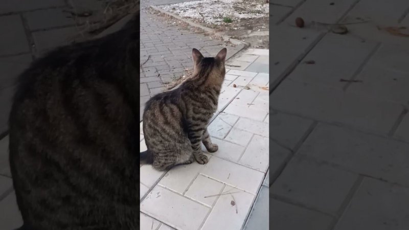 Анапский Док и интервью!=) #анапа #курорт #юмор
