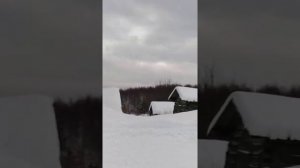 Деревня шахановка Архангельская область