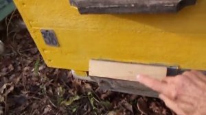 Прикрыть летки .