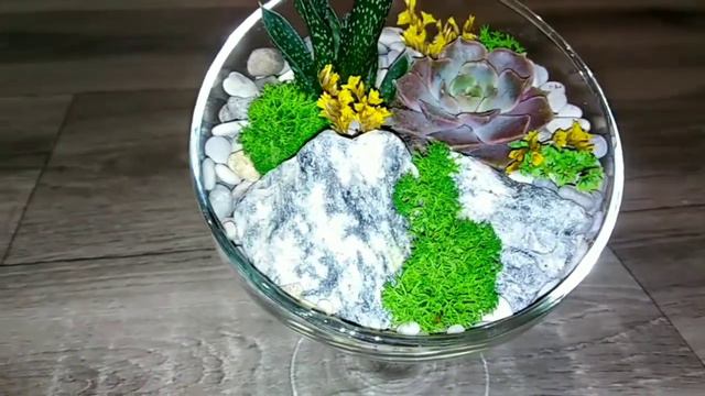 Флорариум смотреть онлайн