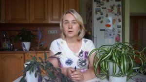 Цветы для Близнецов.