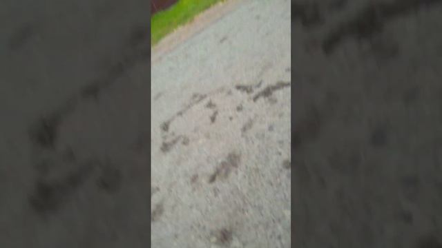 кто последний выйдет из круга челлендж смотреть онлайн