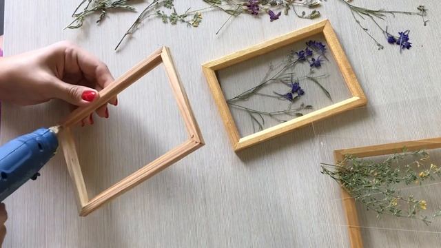 Цветы в рамке | Гербарий в стекле | Home and garden | Herbarium смотреть онлайн