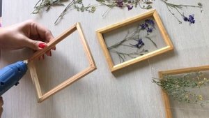 Цветы в рамке | Гербарий в стекле | Home and garden | Herbarium