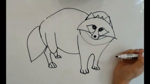 КАК НАРИСОВАТЬ ЕНОТА с фотографии