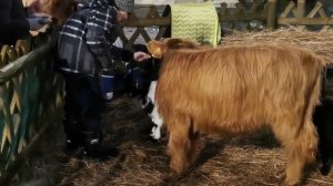 Нарвская Рождественская деревня 2022