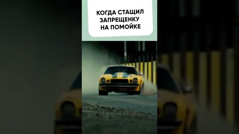 Собака когда стащила что-то с мусорки #shorts