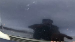 Как на калине открыть капот