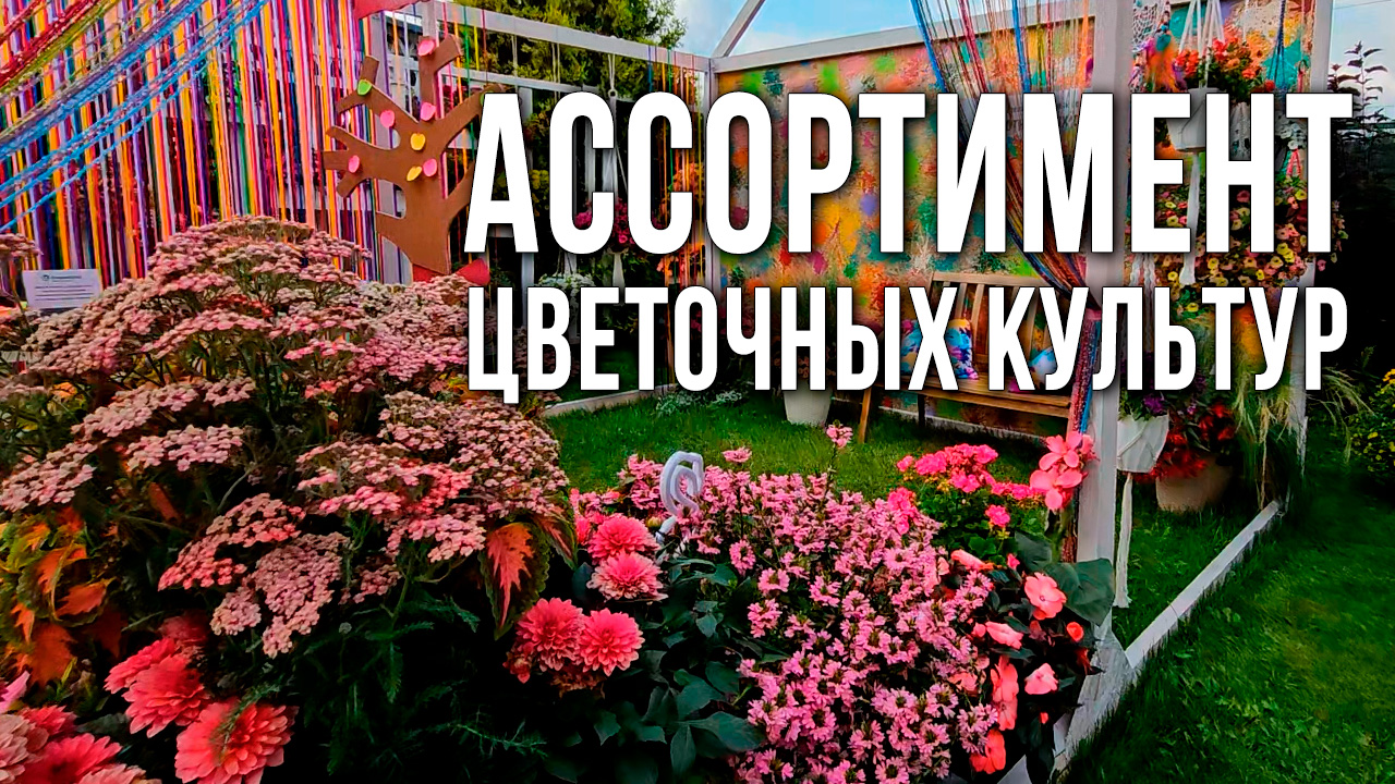 Егорьевский тепличный комбинат. Ассортимент семян цветочных культур и садовых роз в контейнерах.