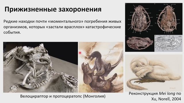Яна Шурупова: "Что такое палеонтология?"