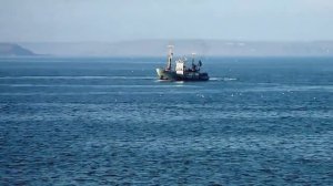 ((*Промысловый лов хамсы в Керченском проливе*))