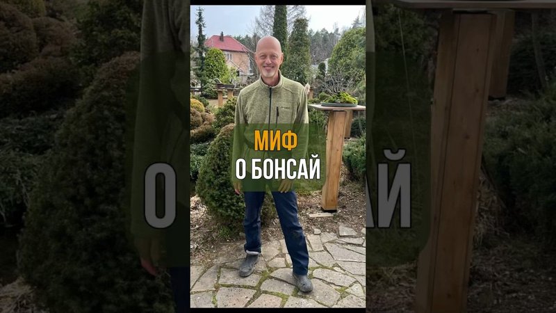 Миф о бонсай.