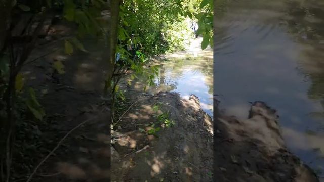 Сыр! Пир! Мир! Сельский праздник и offroad дорога под Нейромонаха Феофана смотреть онлайн