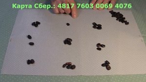 Что ждет в скором будущем? Гадание на бобах.