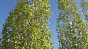 Обитель Любви. Орский Иверский женский монастырь, весна 2022г