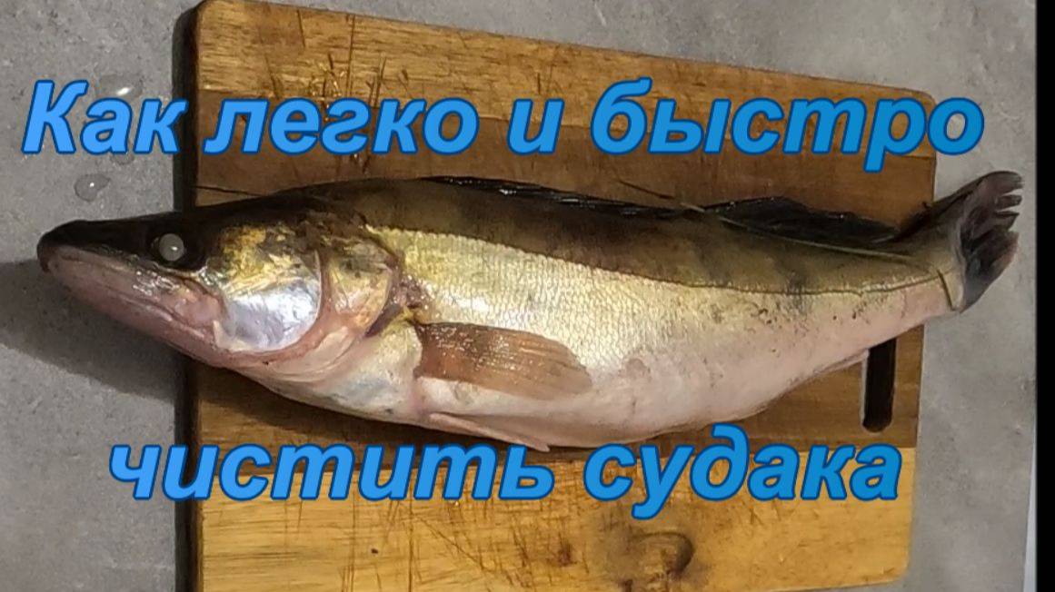 Как легко и быстро чистить судака.
