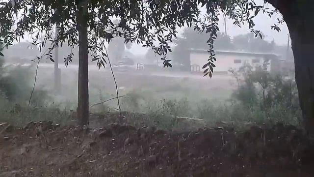 ГАРАВУТИ 2019 06 06 смотреть онлайн