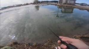 Ловим форель в Рыбин Гуде. Последний день марта.