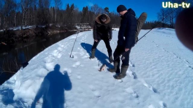 Ловля щуки на теплой речке 16 марта. р. Малая Кокшага. (Uha-tv) смотреть онлайн