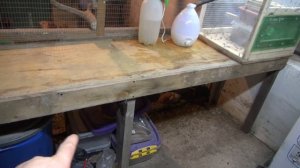 Черная львинка. Налаживаю производство.