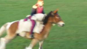 Молодой наездник, упрямая лошадь берут барьер