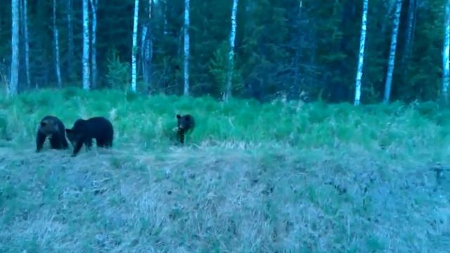 Смотреть всем , ржака смотреть онлайн