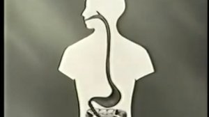 Тип Круглые черви. Школфильм. Видеоуроки биологии на egebio.ru