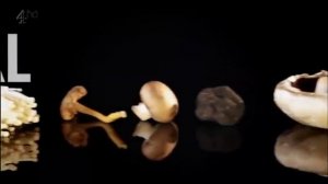 Курс элементарной кулинарии Гордона Рамзи — Эпизод 3