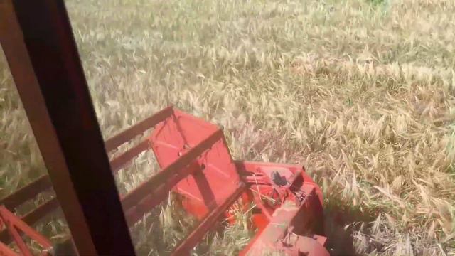 Жнива 2021. с.Бруслинів. озимий ячмінь смотреть онлайн