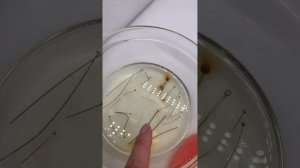 Проверка фурнитуры в солёной воде