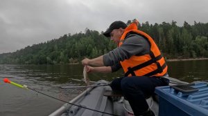 08.06.24 Рыбалка на кольцо с лодки  с. Берсут. Мамадышский район. Лещ клюет на ура