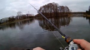 Покидушки Loongze DBC