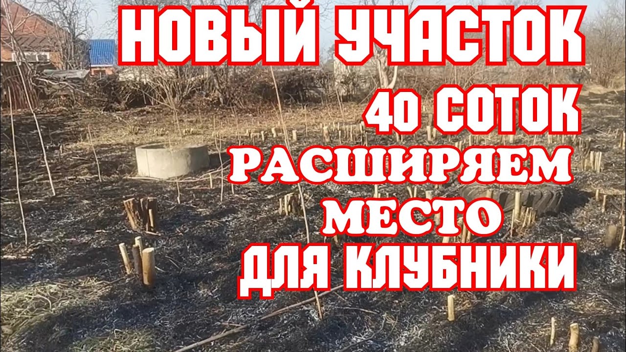Приобрели новый участок, расширяем место для клубники! смотреть онлайн