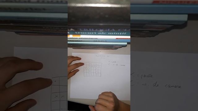 Algoritmul de Fill - Partea 1 смотреть онлайн