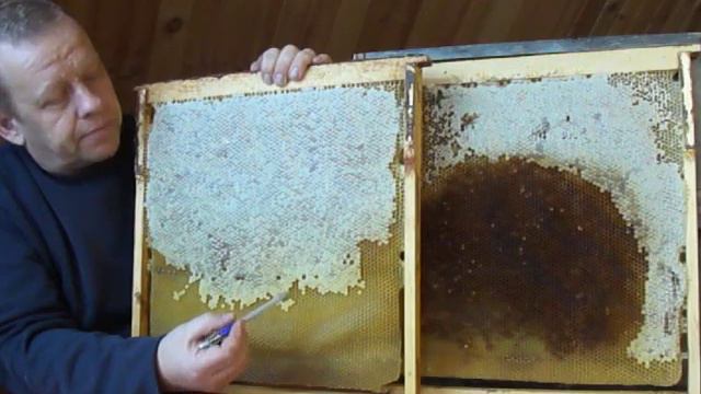 Рамки улья лежака Якимова с мёдом и зимний клуб смотреть онлайн