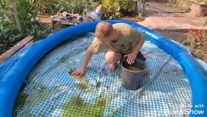 Бассейн. Моем надувной бассейн. Грязный бассейн