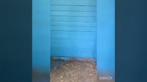 Заброшенный пионерский лагерь Костёр под Очёром