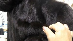 Спасение и ремонт шубы после моли .