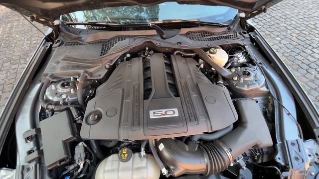 Quanto costa mantenere una Ford Mustang GT 5.0 V8 da 450 CV in Italia? ? смотреть онлайн