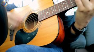 Gitar Cort AD 810 E OP | quick #REVIEW 035