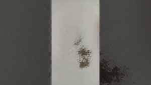 химтрейлы магнитный налëт на окне магнитная пыль