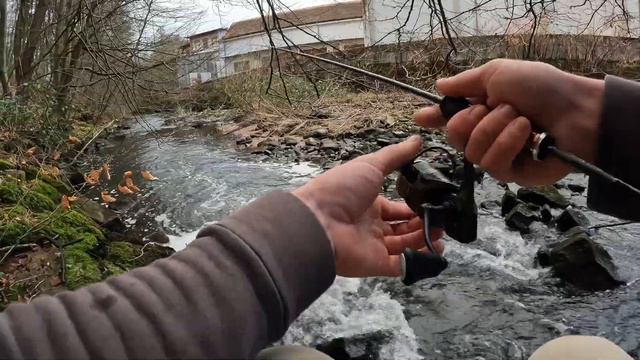 Рыбалка на малых реках Европы!#fishing #рыбалка #форель