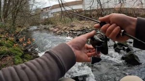 Рыбалка на малых реках Европы!#fishing #рыбалка #форель
