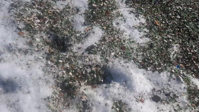 Воскресный выезд на море. Бухты Шамора, Стеклянная, Патрокл, Соболь.